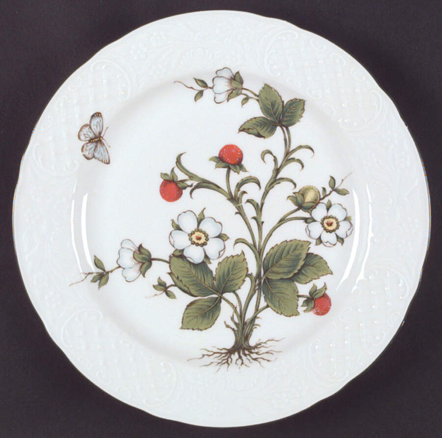 Wild Strawberry Dinner Plate by Schumann - Bavaria-1