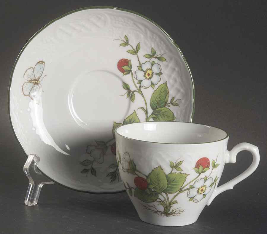 Wild Strawberry Flat Cup & Saucer Set by Schumann - Bavaria-1