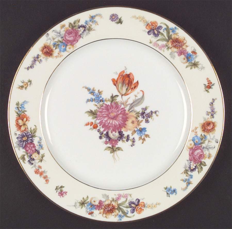 HCZ279 Dinner Plate by Haas-Czjzek Coronado-1