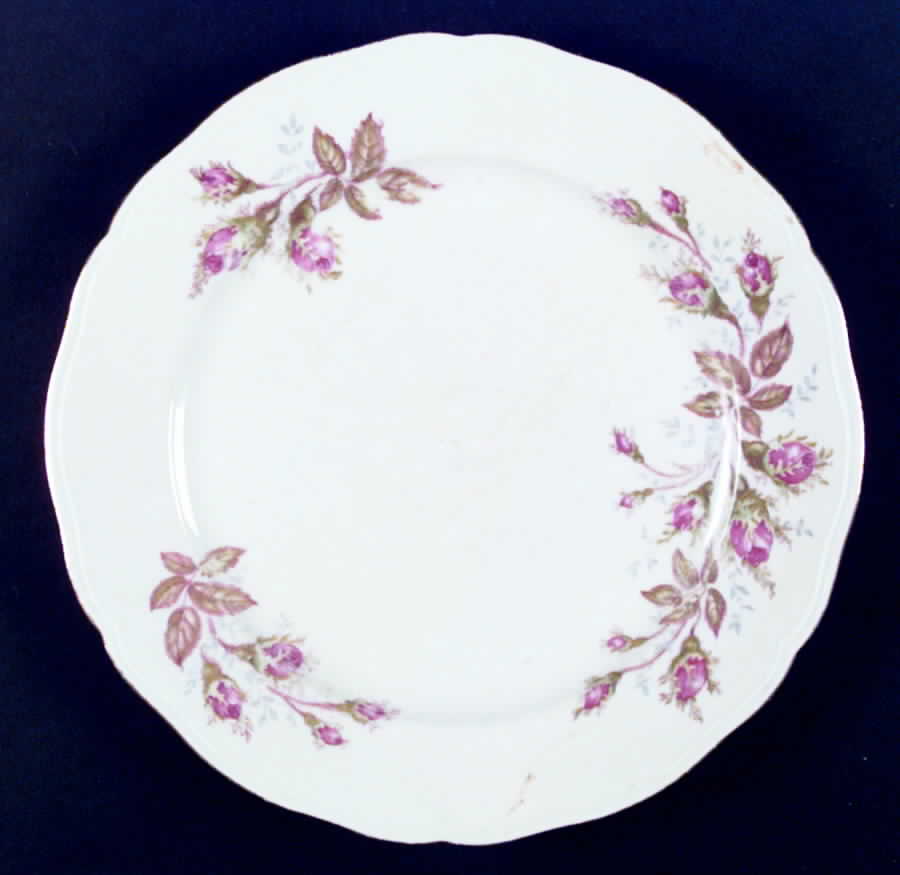 Elite Dinner Plate by Scherzer-1