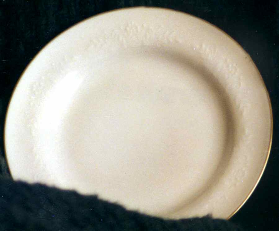 Nocturne Dinner Plate by Scherzer-1