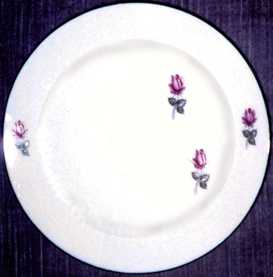 SCR11 Dinner Plate by Scherzer-1