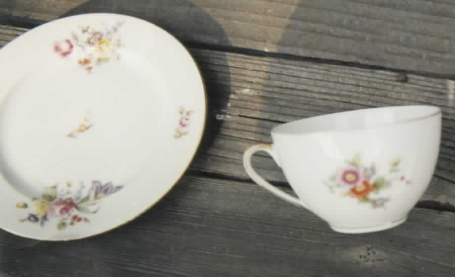 9947 Bread & Butter Plate by Scherzer-1