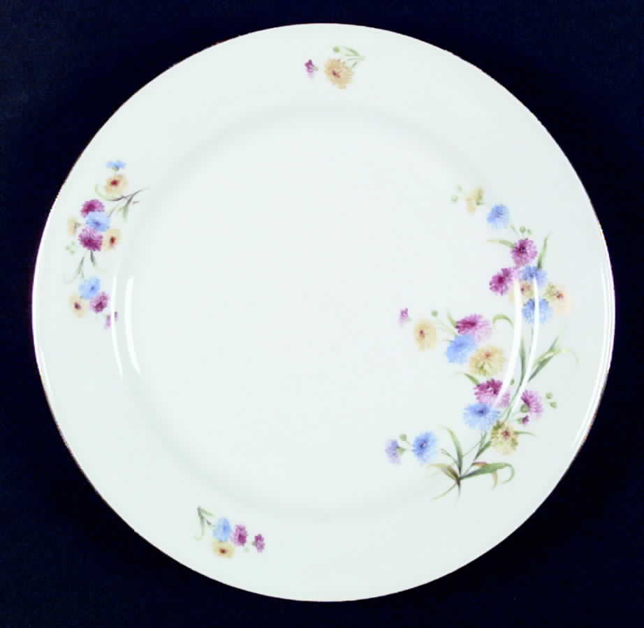 SCR2 Dinner Plate by Scherzer-1