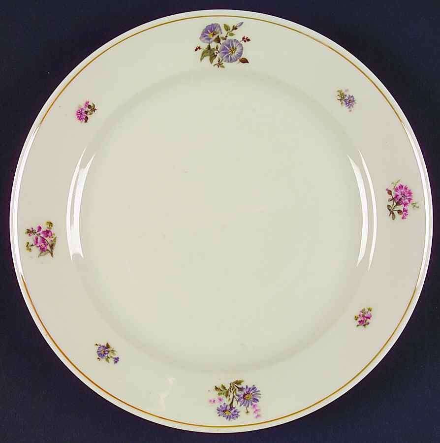 SCR5 Dinner Plate by Scherzer-1