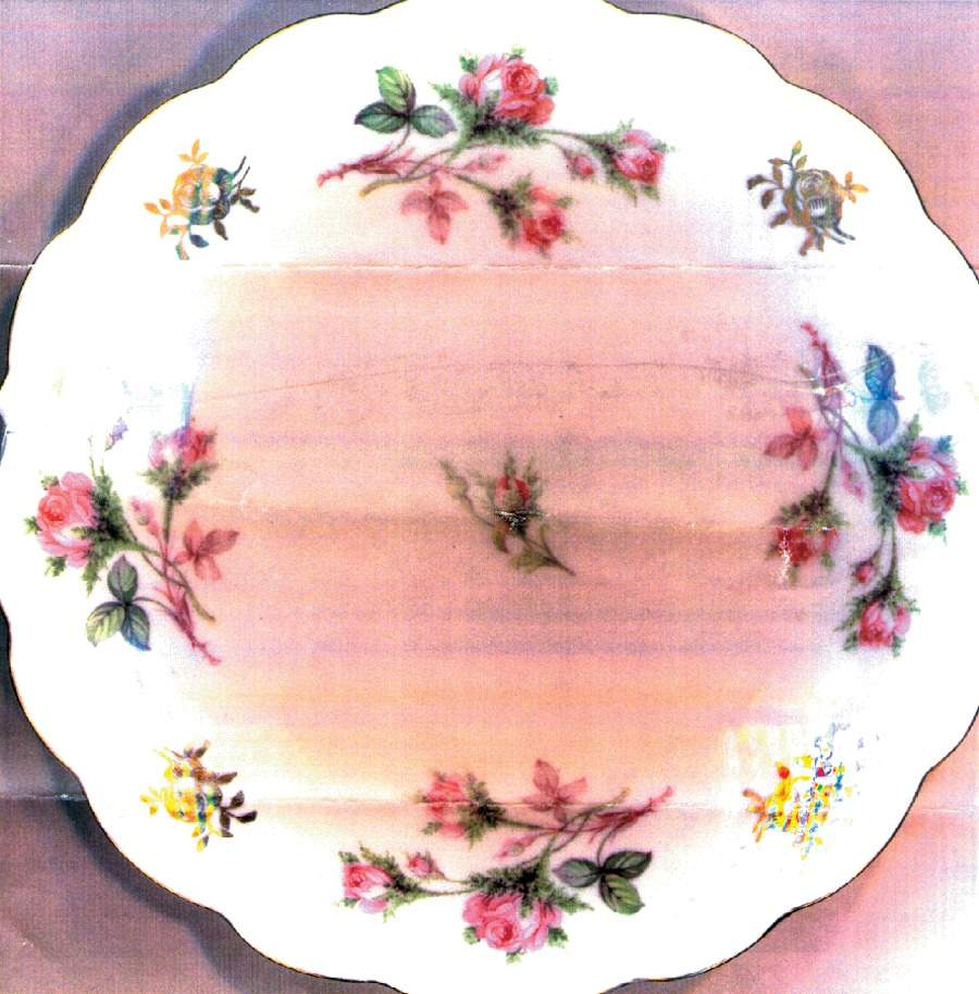 SCR7 Salad Plate by Scherzer-1
