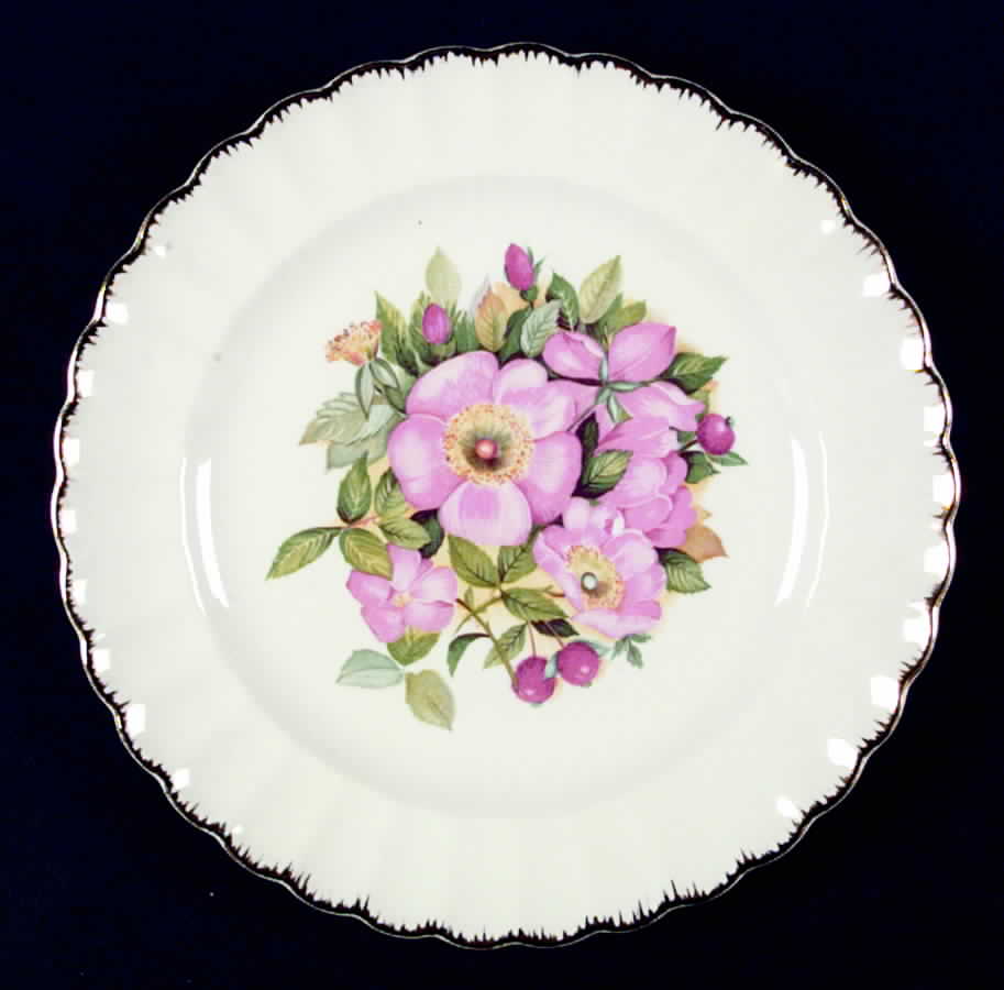 Rose Garden Luncheon Plate by Sebring Pottery-1