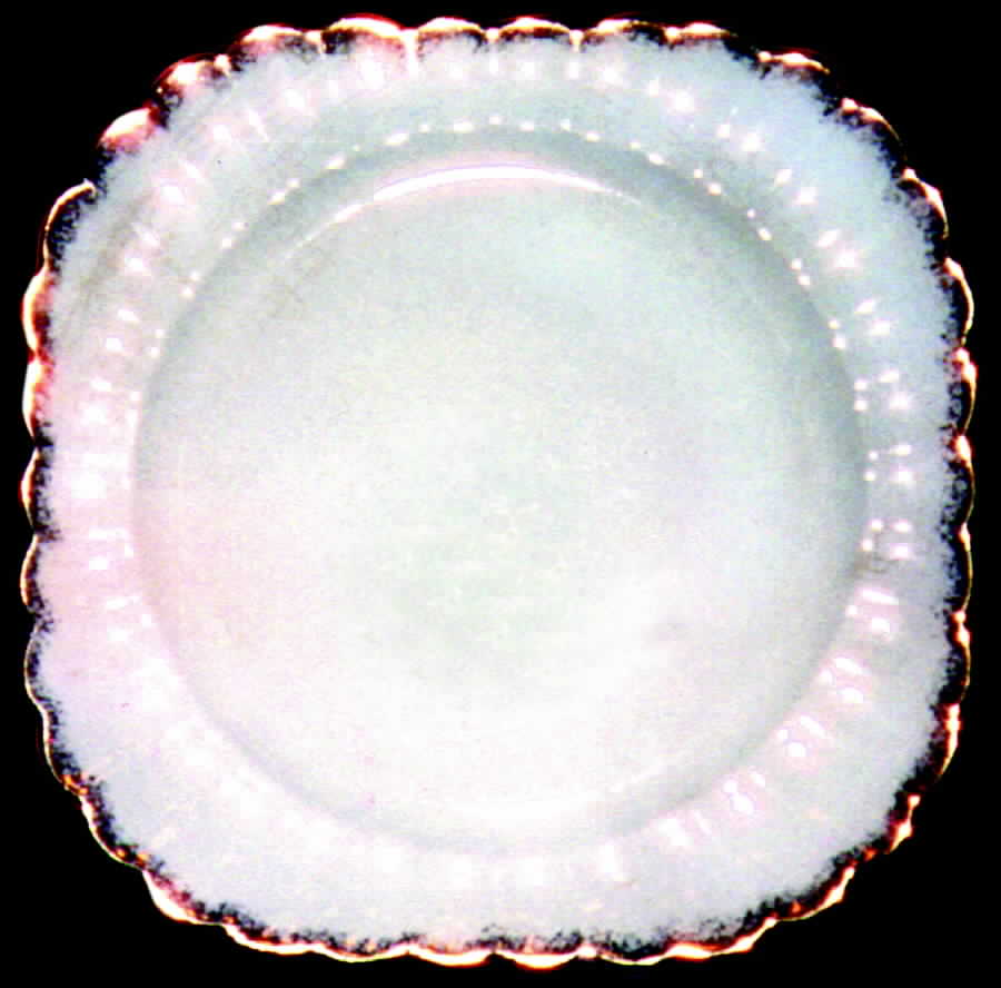 SEB22 Dinner Plate by Sebring Pottery-1