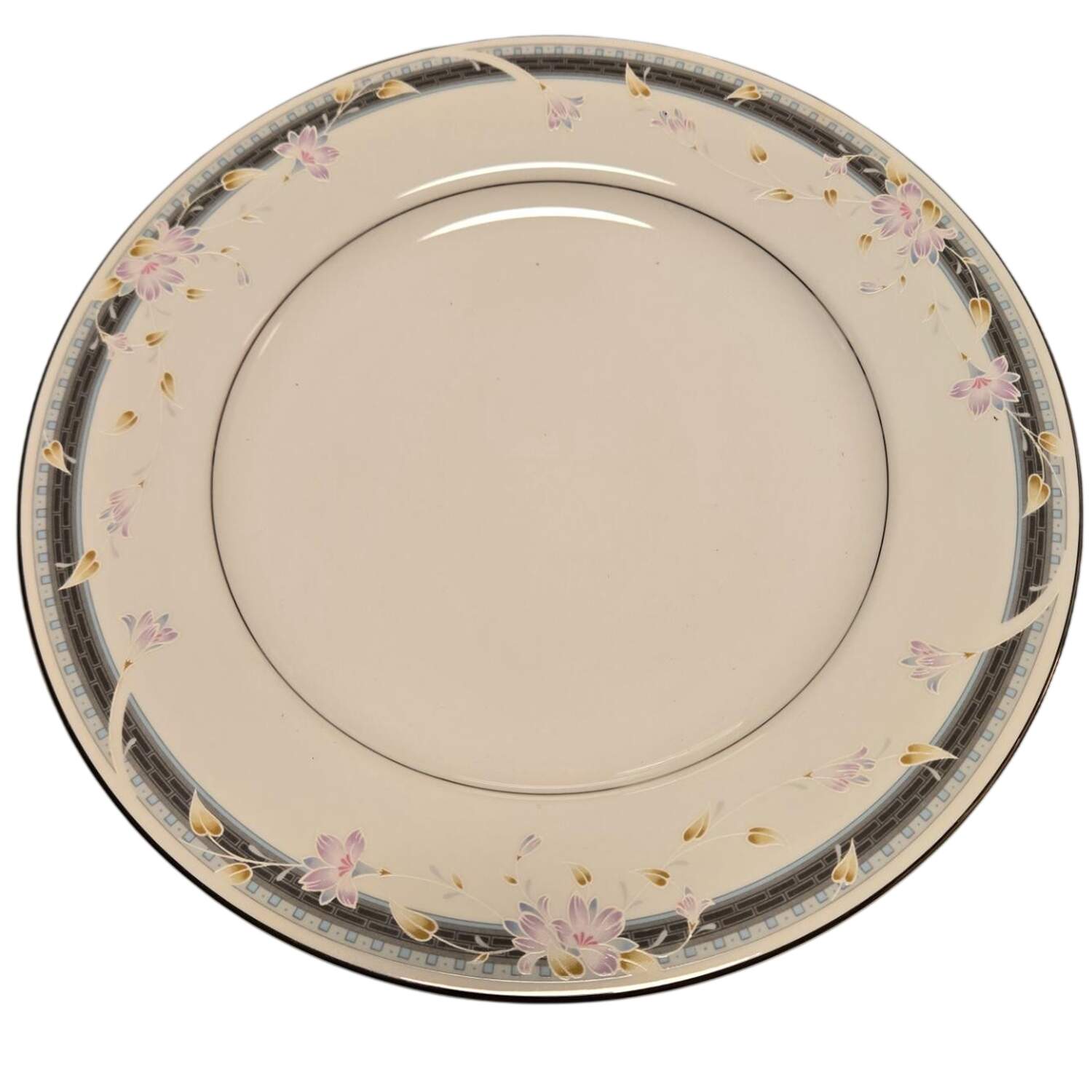 Evolution Dinner Plate by Seizan-1