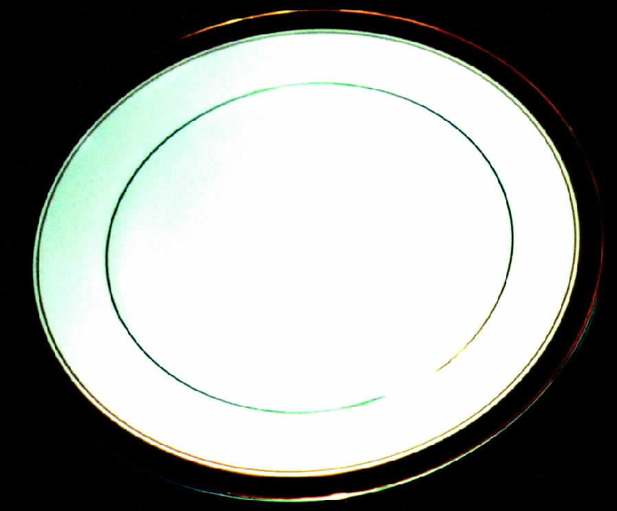 SEI1 Dinner Plate by Seizan-1