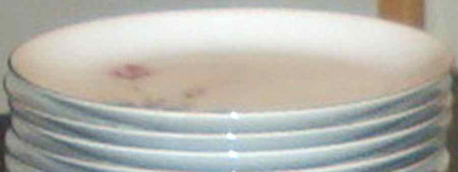 Ardsley Salad Plate by Seyei Toki Co-1