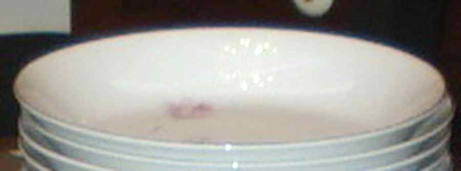 Ardsley Coupe Soup Bowl by Seyei Toki Co-1