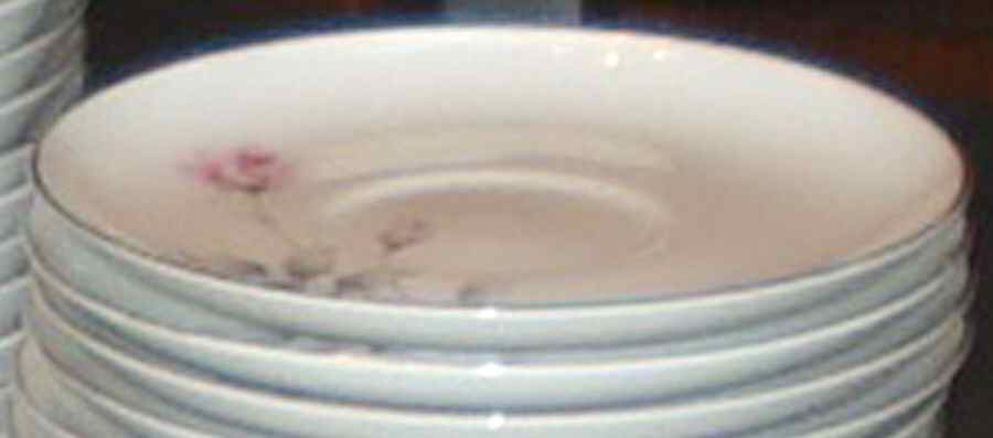 Ardsley Saucer by Seyei Toki Co-1