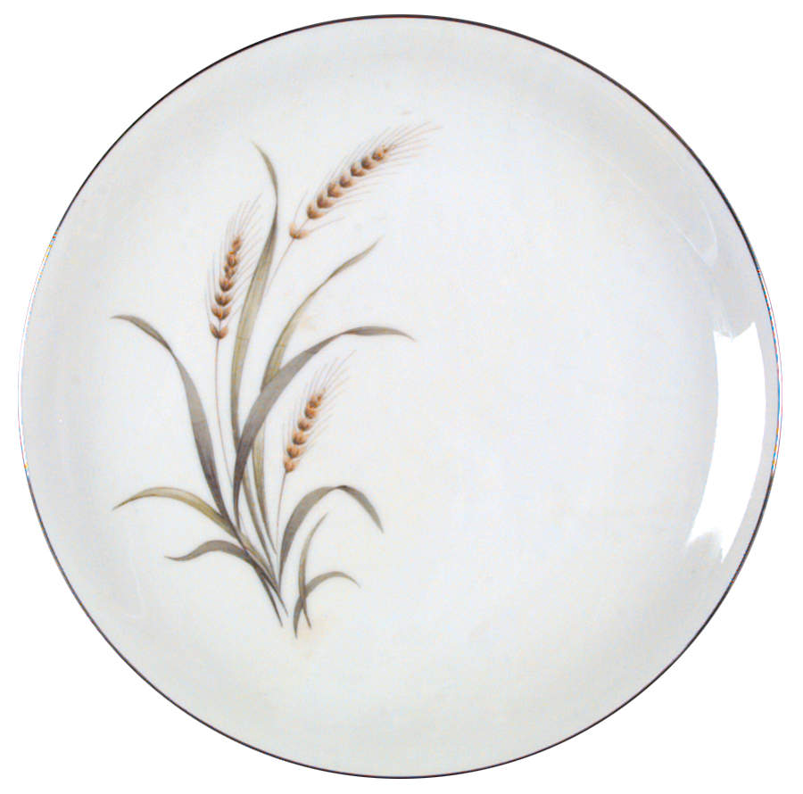 Harvest Dinner Plate by Seyei Toki Co-1