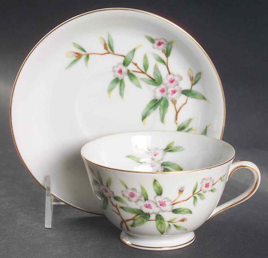 Wild Cherry Footed Cup & Saucer Set by Seyei Toki Co-1