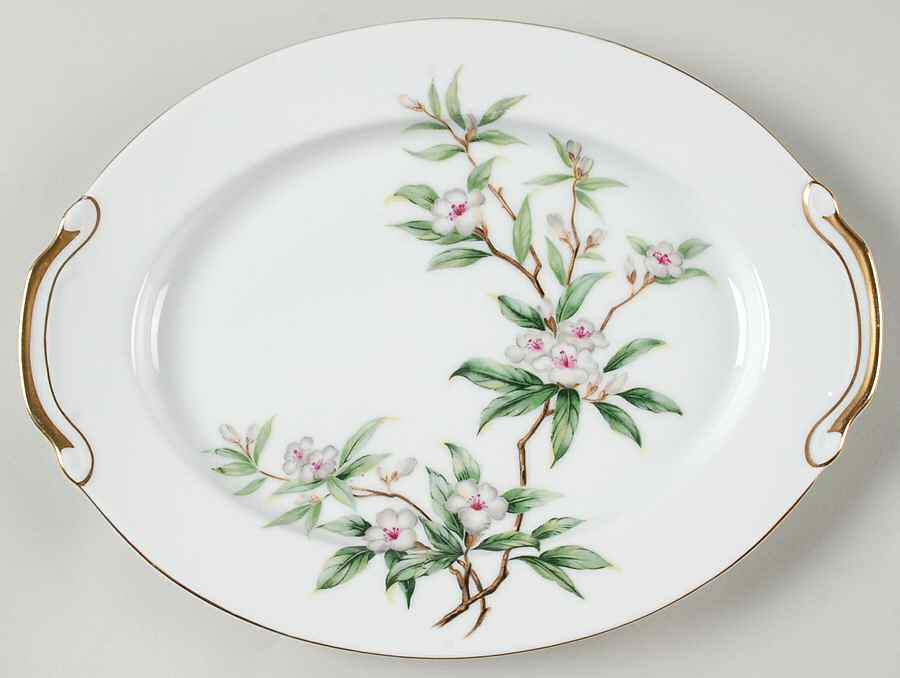 Wild Cherry 11" Oval Serving Platter by Seyei Toki Co-1