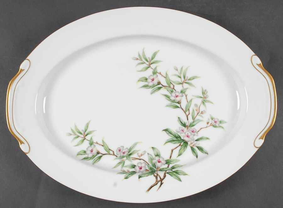 Wild Cherry 16" Oval Serving Platter by Seyei Toki Co-1