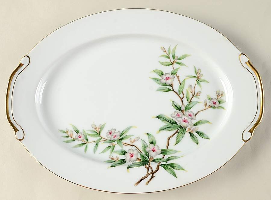 Wild Cherry 14" Oval Serving Platter by Seyei Toki Co-1
