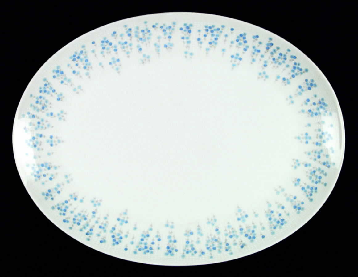 Rhapsody 14" Oval Serving Platter by Sheffield-1