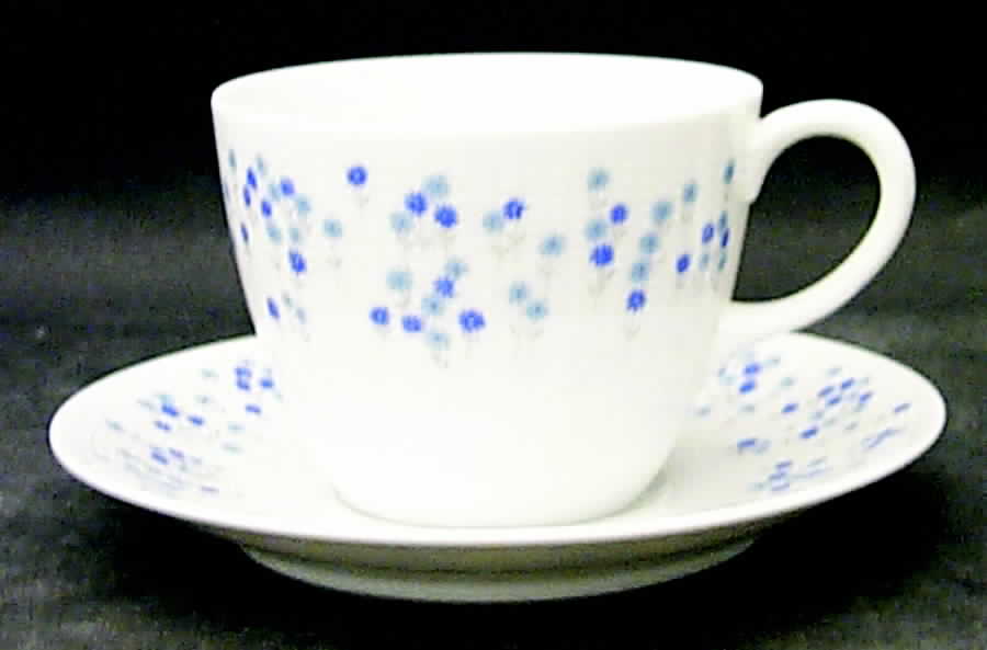 Rhapsody Flat Cup & Saucer Set by Sheffield-1