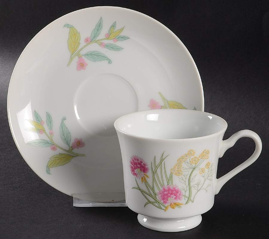 Herbs & Spices Footed Cup & Saucer Set by Shafford-1