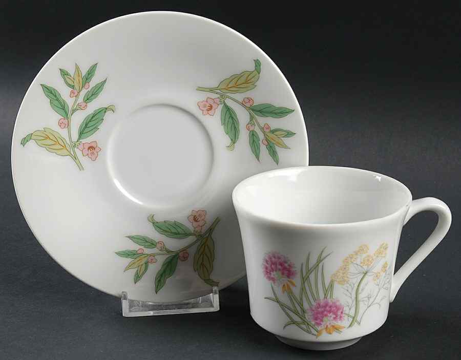 Herbs & Spices Flat Cup & Saucer Set by Shafford-1