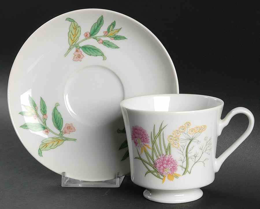 Herbs & Spices Footed Cup & Saucer Set by Shafford-1
