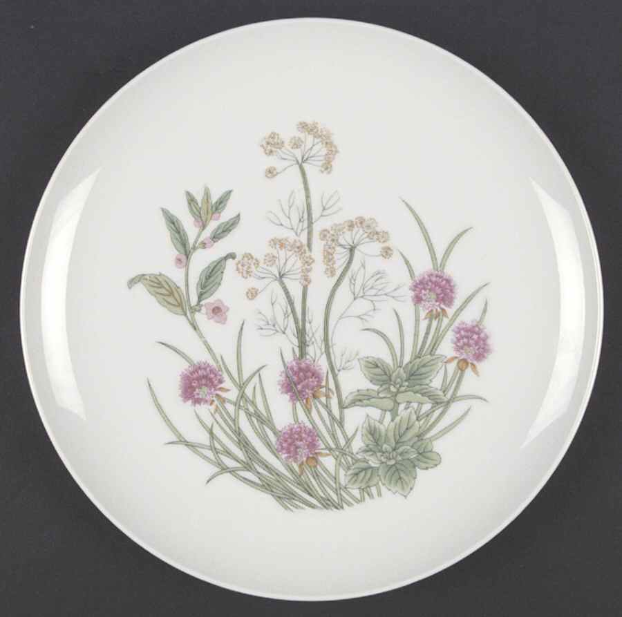 Herbs & Spices Dinner Plate by Shafford-1