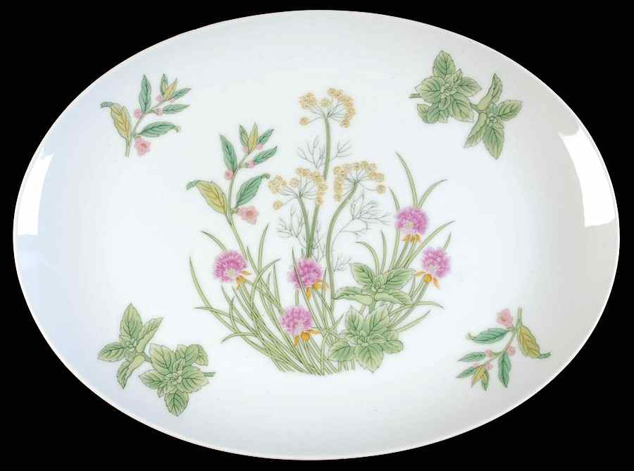 Herbs & Spices 14" Oval Serving Platter by Shafford-1