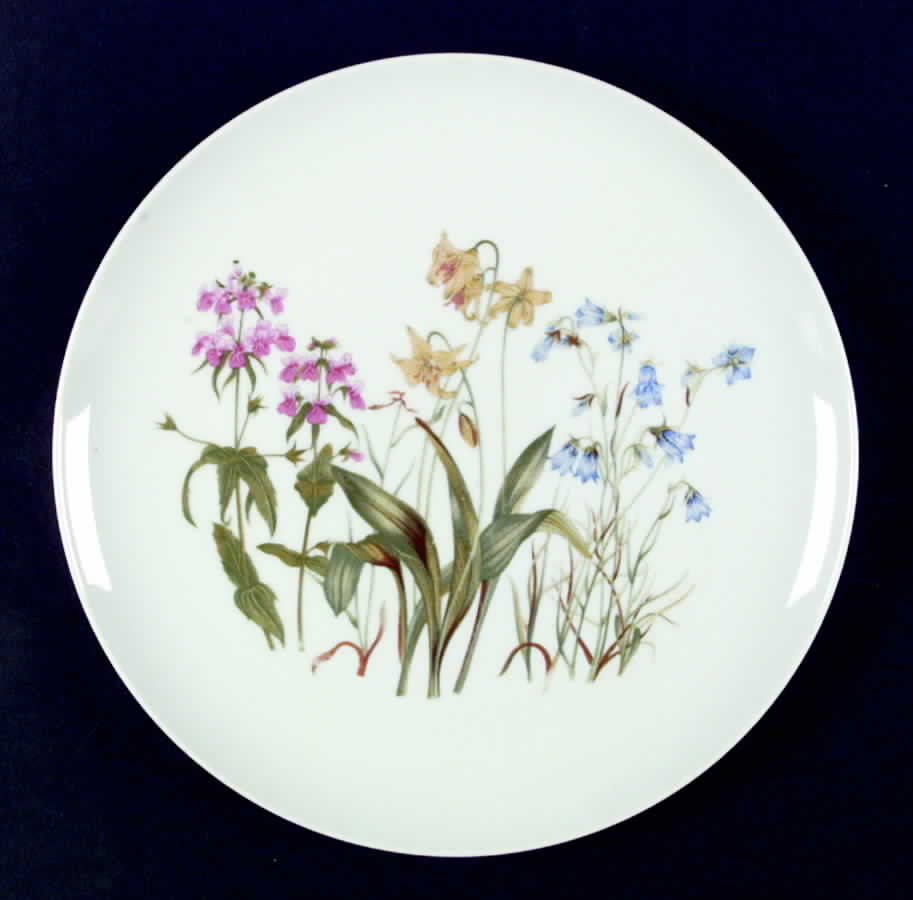Rock Garden Dinner Plate by Shafford-1