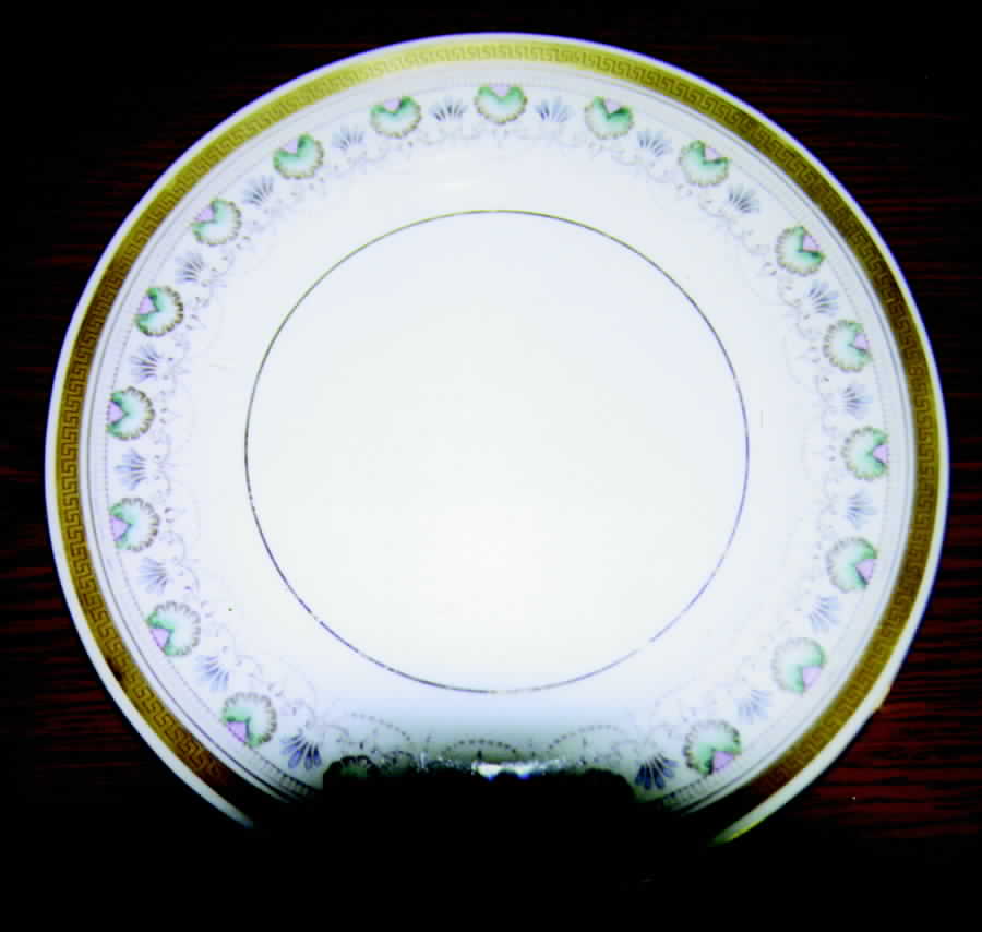 11284 Dinner Plate by Shelley-1