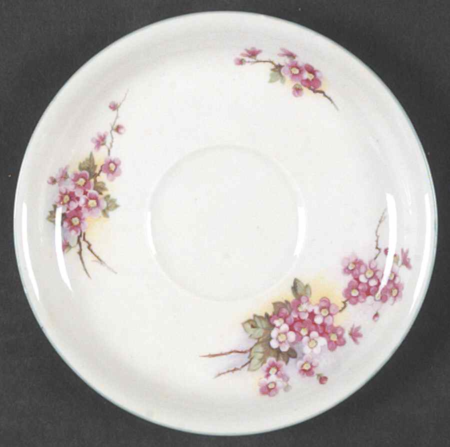 Blossom (Oleander Shape) Saucer by Shelley-1