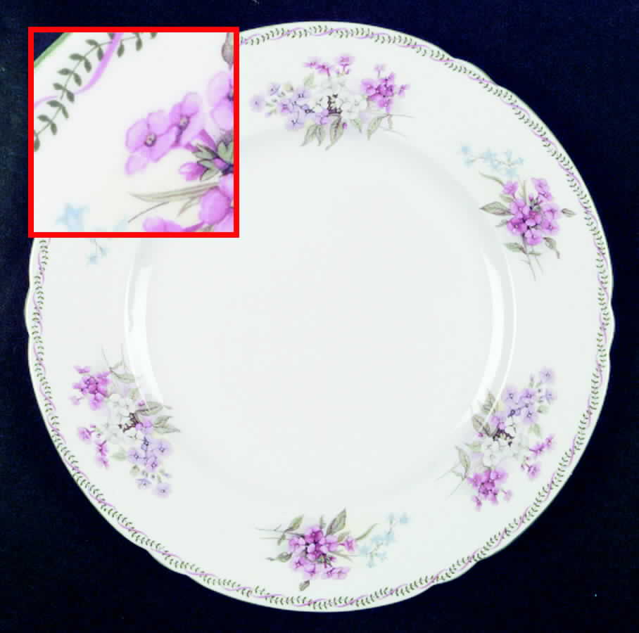 13512 Dinner Plate by Shelley-1