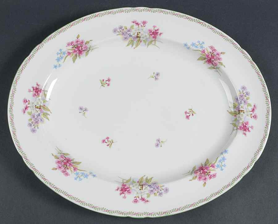 13512 14" Oval Serving Platter by Shelley-1