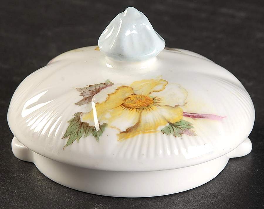 Begonia (Dainty Shape) Lid for Hot Water Jug by Shelley-1