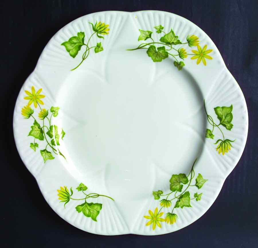 Celandine Dinner Plate by Shelley-1