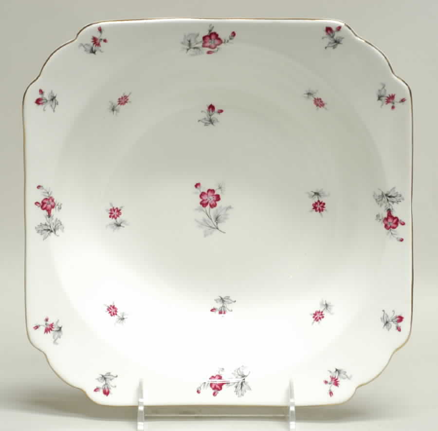 Charm 9" Square Vegetable Bowl by Shelley-1