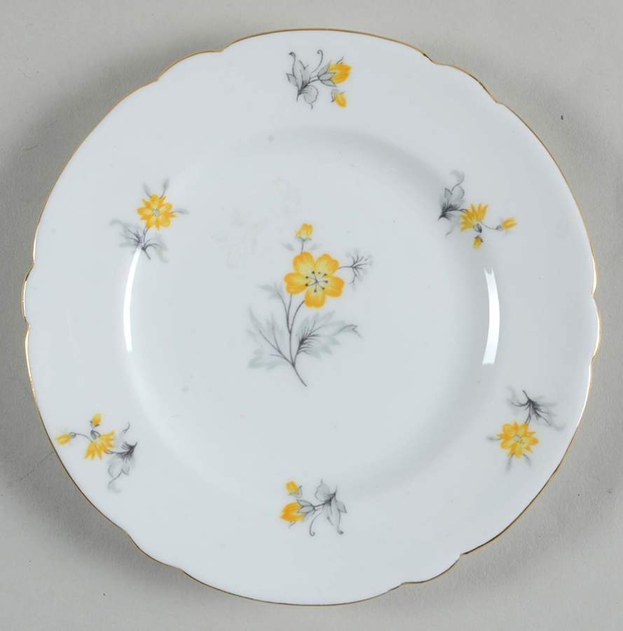 Charm Small Bread & Butter Plate by Shelley-1