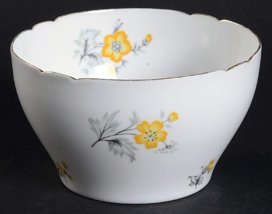 Charm Open Sugar Bowl by Shelley-1
