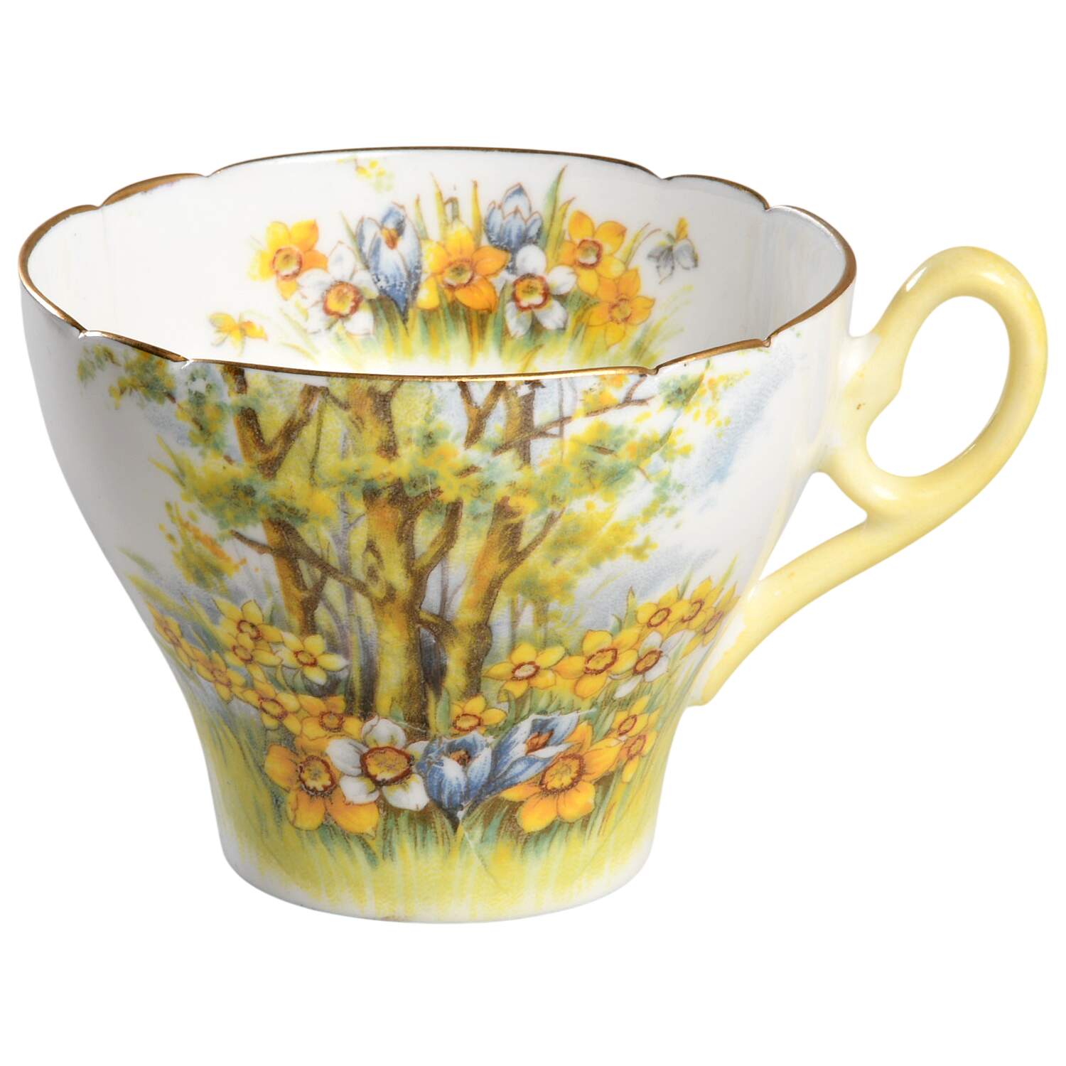 Daffodil Time Flat Cup by Shelley-1