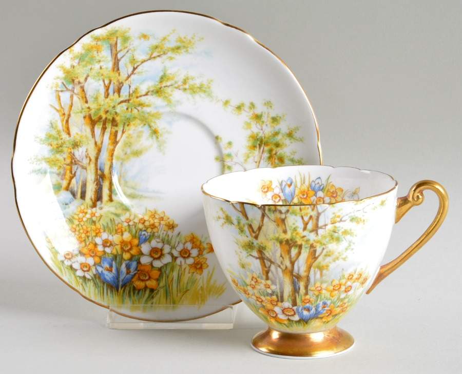 Daffodil Time Footed Cup & Saucer Set by Shelley-1