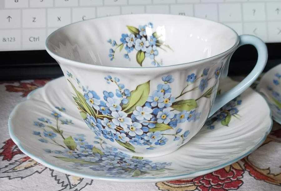 Forget Me Not Flat Cup & Saucer Set by Shelley-1