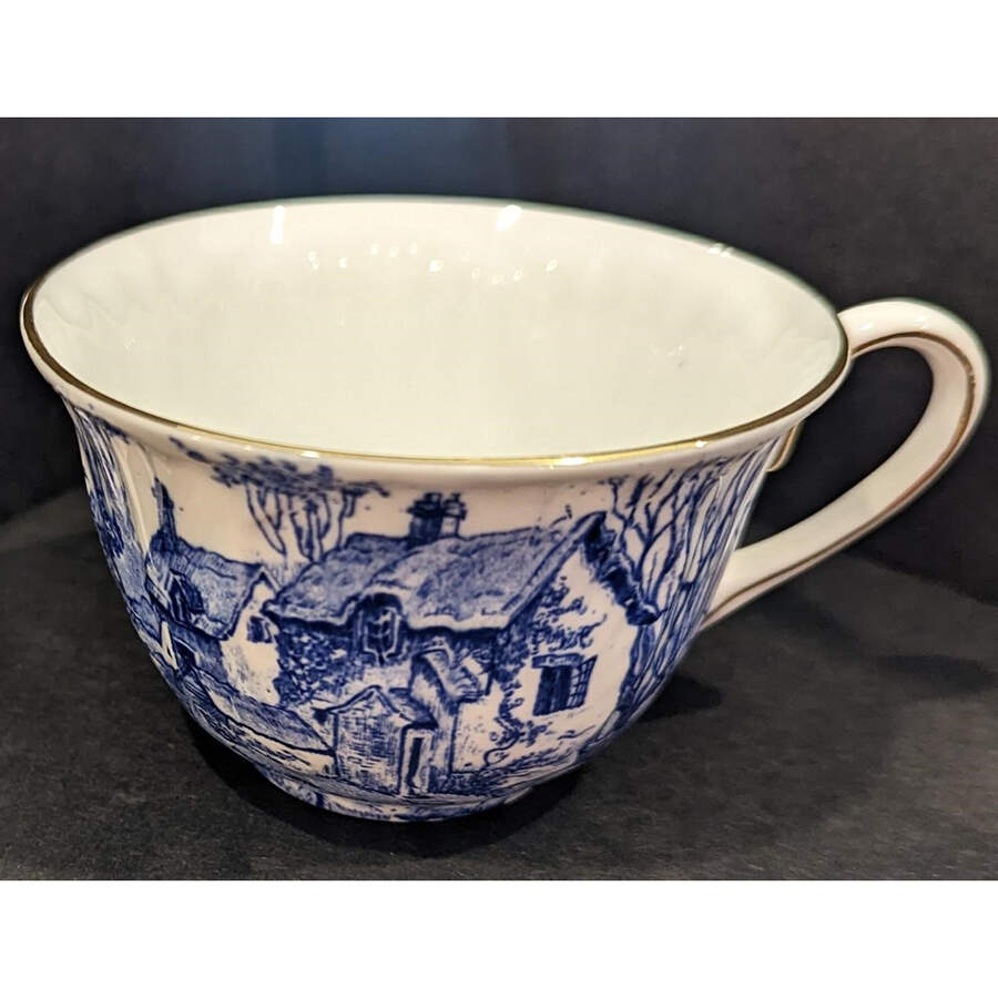 Glorious Devon Flat Cup by Shelley-1
