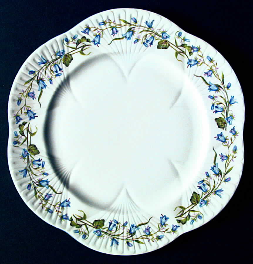 Harebell (Dainty) Dinner Plate by Shelley-1