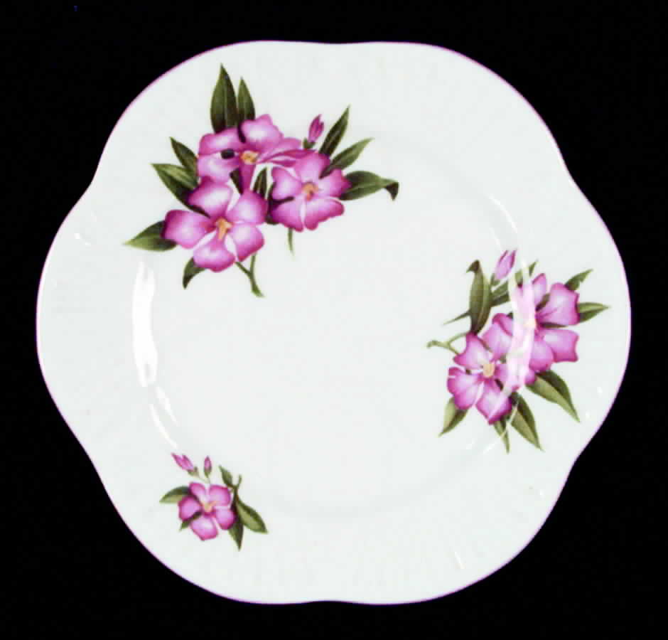 Oleander Bread & Butter Plate by Shelley-1