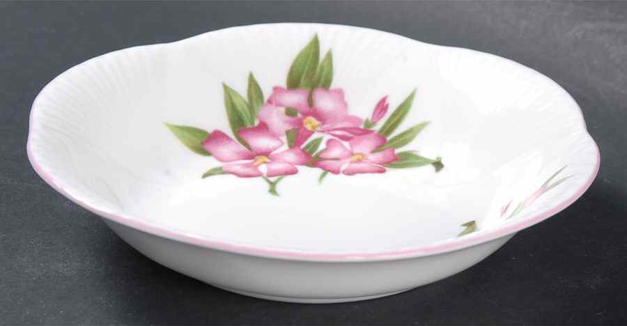 Oleander Fruit/Dessert (Sauce) Bowl by Shelley-1