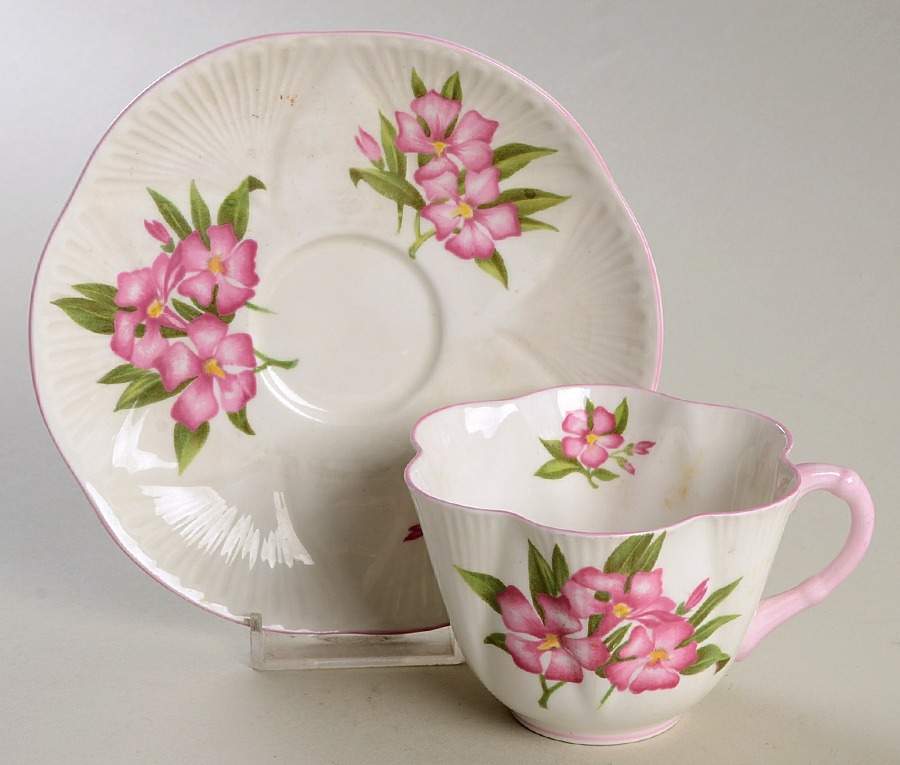 Oleander Flat Cup & Saucer Set by Shelley-1