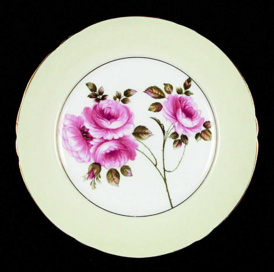 Rambler Rose Salad Plate by Shelley-1