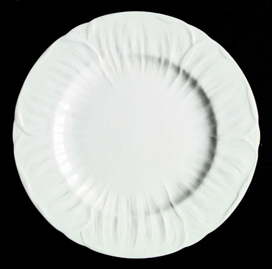 Oleander (White, Undecorated) Dinner Plate by Shelley-1