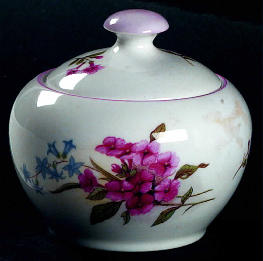 Stocks (Dainty Shape) Mustard Jar & Lid by Shelley-1
